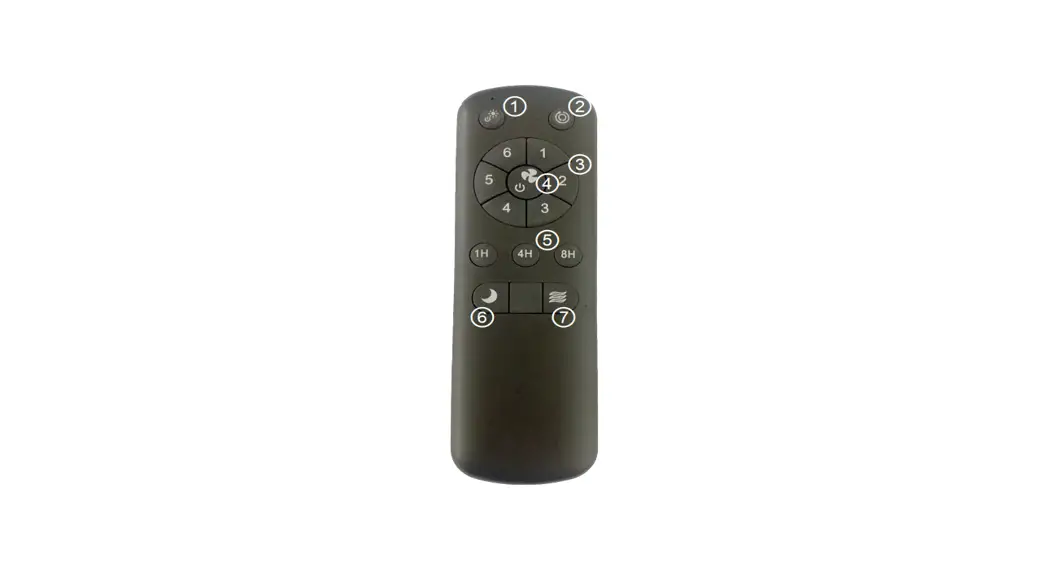 Welmag Wmt200-rs Remote Controller User Manual