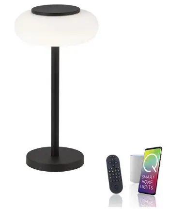 Paul Neuhaus-4071-18 Q-Etienne-LED-Table-Lamp-PRODUCT-IMG