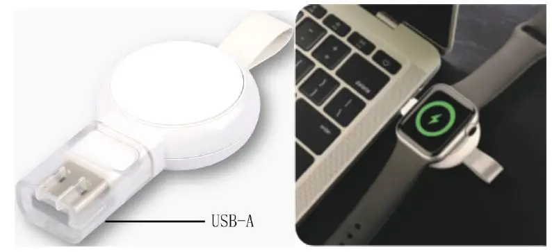 dns WD-254A Watch Magnetic charger fig-1