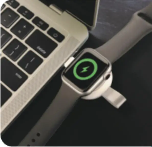 dns WD-254A Watch Magnetic charger product