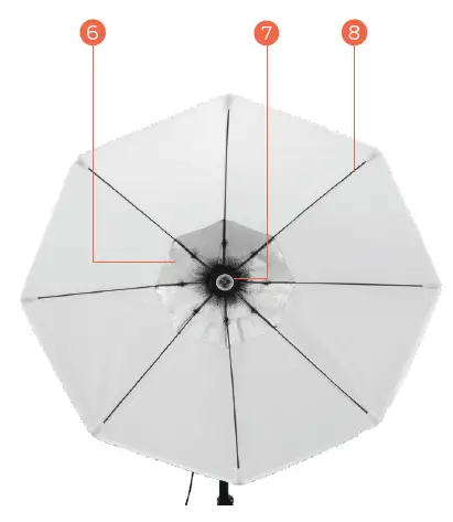 Raya OCSB-70 Octagonal Collapsible Softbox for Use with LED Bulbs 2