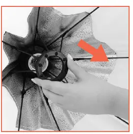 Raya OCSB-70 Octagonal Collapsible Softbox for Use with LED Bulbs 9