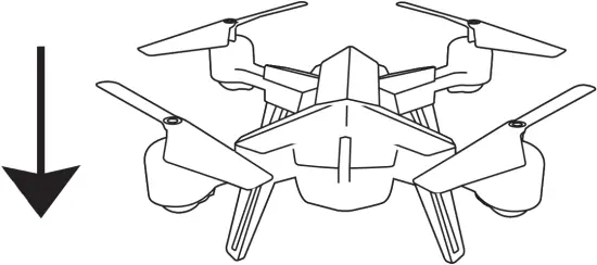 KAYOBA 012295 - Fig 17 - 2