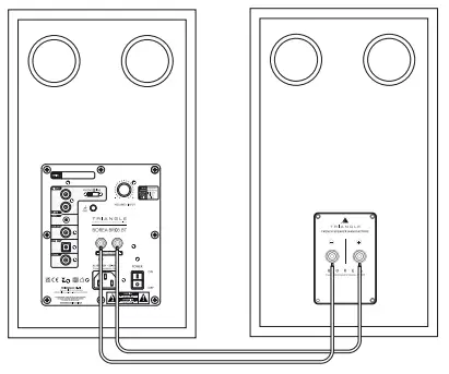 TRIANGLE BR03BT Wireless Bluetooth Bookshelf Speakers - SPEAKERS