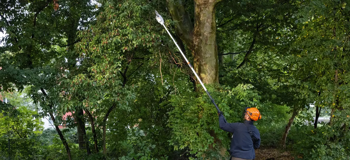 Stihl Hta 66, 86 Cordless Pole Pruner Instruction Manual