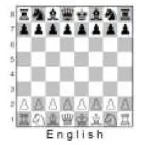 MILLENNIUM M806 Karpov Chess School-7