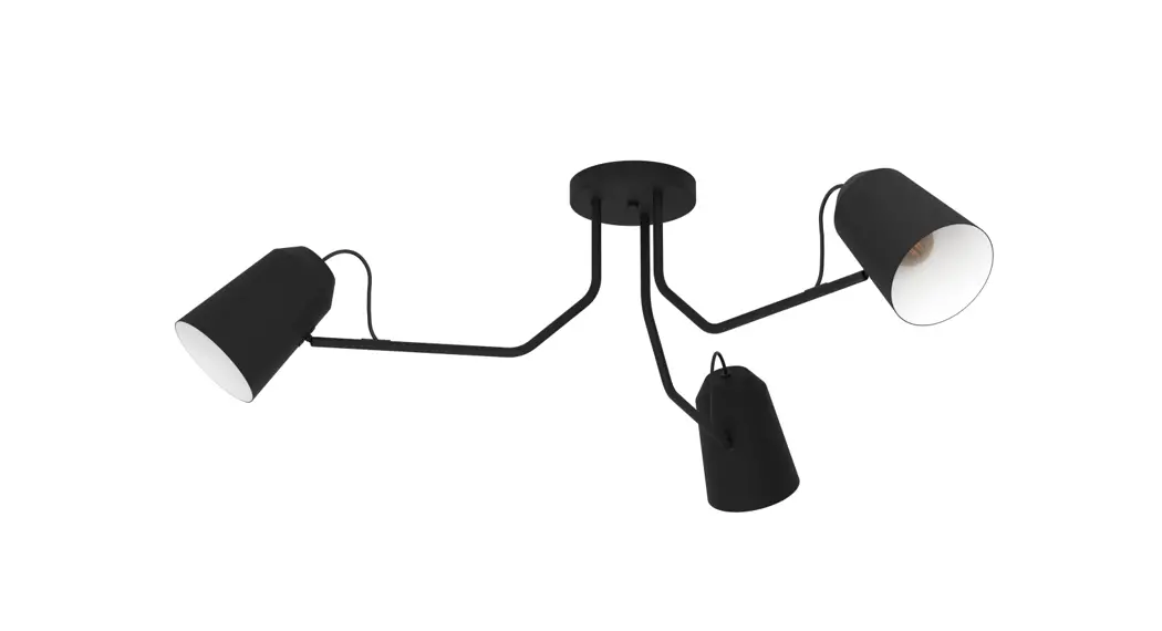 Eglo 900188 Loreto Ceiling Light Instructions