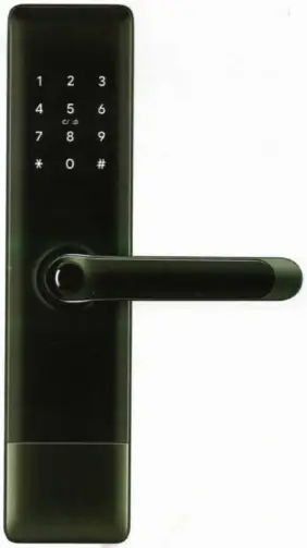 DMAX H2 TYW Smart Lock