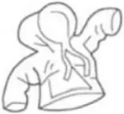 Lowes WM - Safely Precautions 7