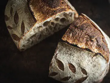 GOZNEY Dome Premium Outdoor Oven - Hickory Smoked Pulled Pork Butt