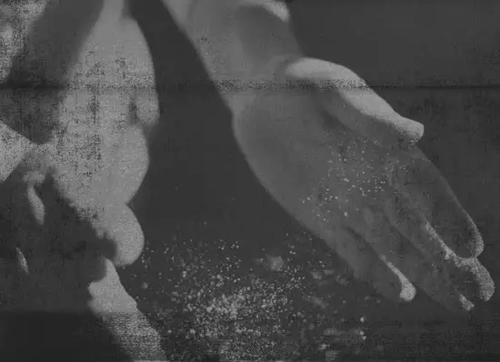 GOZNEY Dome Premium Outdoor Oven - Our Community