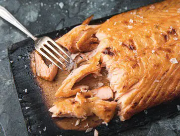 GOZNEY Dome Premium Outdoor Oven - Texan Dalmatian Rubbed Steak