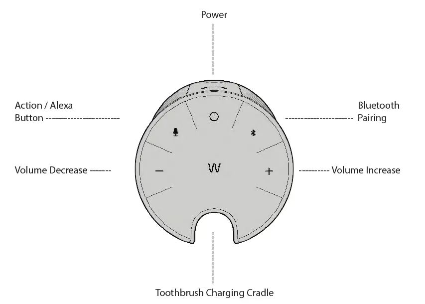 WAVEE W1BTS Toothbrush Speaker System-2