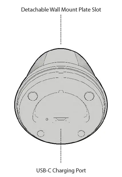 WAVEE W1BTS Toothbrush Speaker System-3