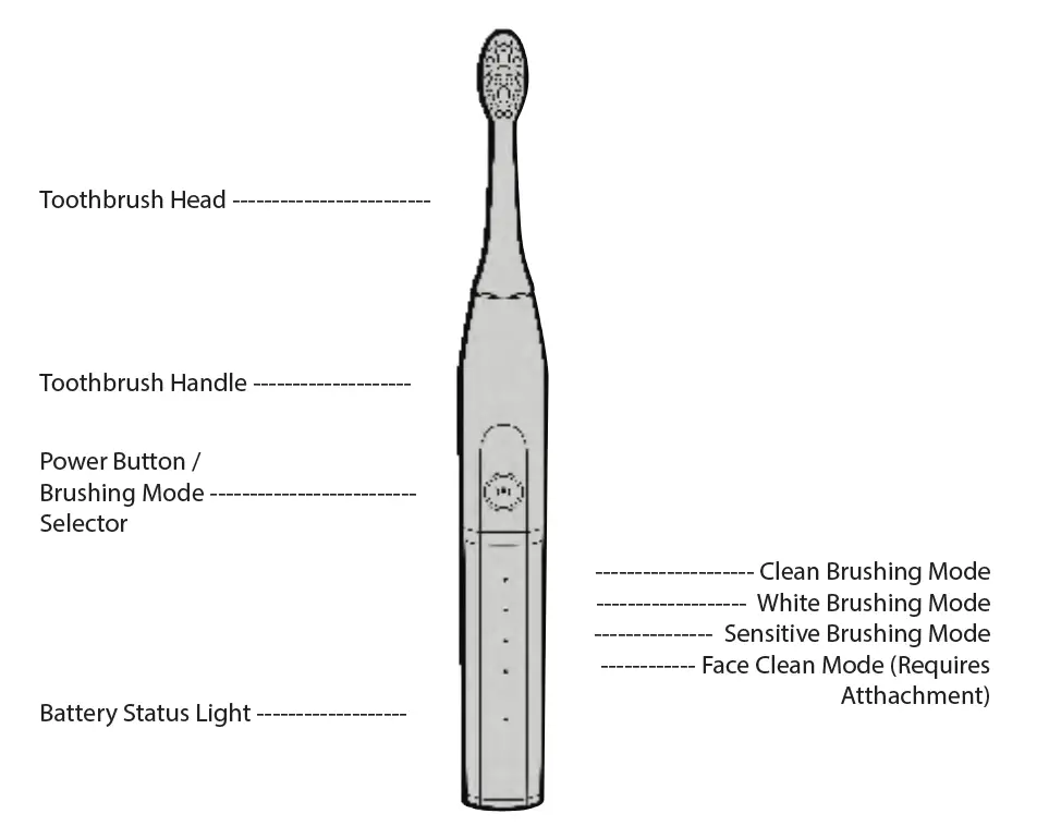 WAVEE W1BTS Toothbrush Speaker System-4