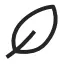 Leaf icon