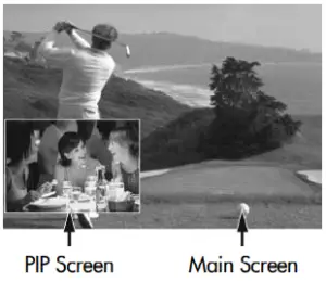 Swap Programs in PIP