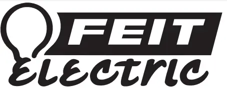 FEIT logo