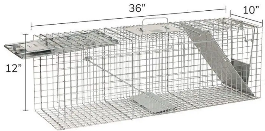WHITE BEAR RENTAL 1045 Large Animal Trap - Fig