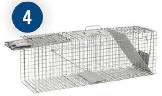 WHITE BEAR RENTAL 1045 Large Animal Trap - Fig4