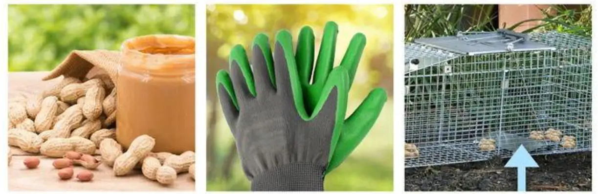 WHITE BEAR RENTAL 1045 Large Animal Trap - Fig5