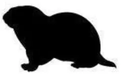 WHITE BEAR RENTAL 1045 Large Animal Trap - Fig7