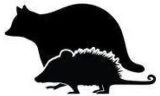 WHITE BEAR RENTAL 1045 Large Animal Trap - Fig8