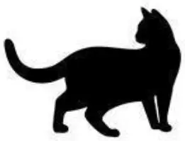 WHITE BEAR RENTAL 1045 Large Animal Trap - cats