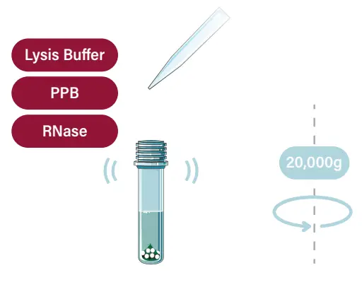 GALENVS PD0016-12 Plant DNA Extraction Kit - fig2