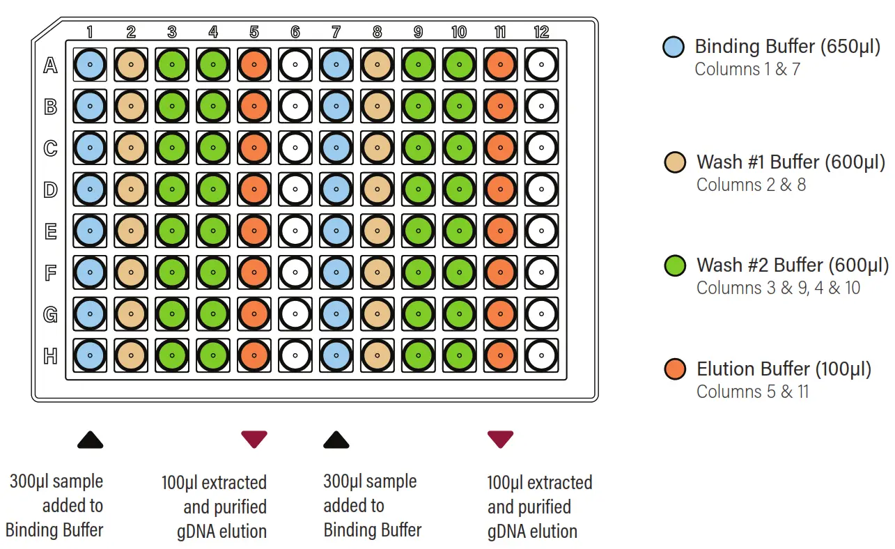 GALENVS PD0016-12 Plant DNA Extraction Kit