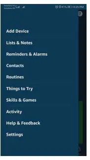 TELLUR TLL331321 WiFi Wall Plug User Manual - Home menu on Alexa app