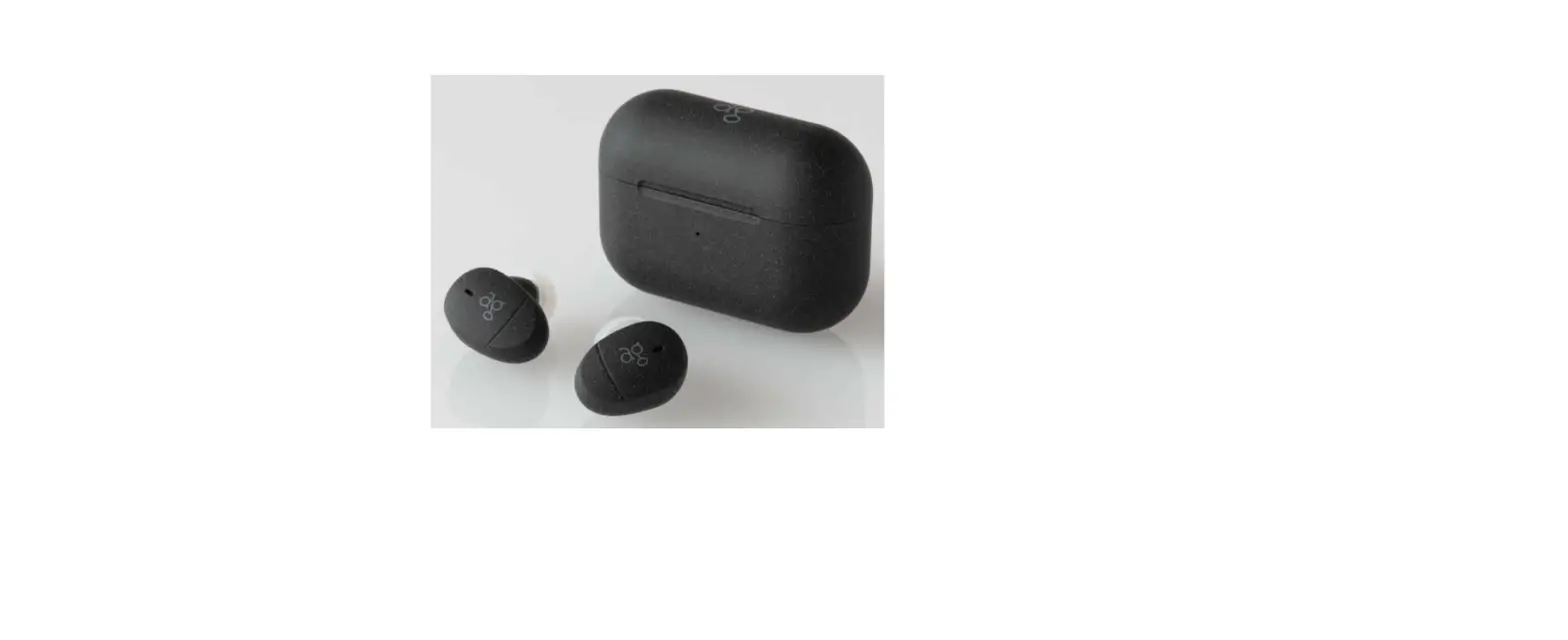 Final Ag-uzura Tws Bluetooth Earphone User Manual Final Ag-uzura Tws Bluetooth Earphone User Manual