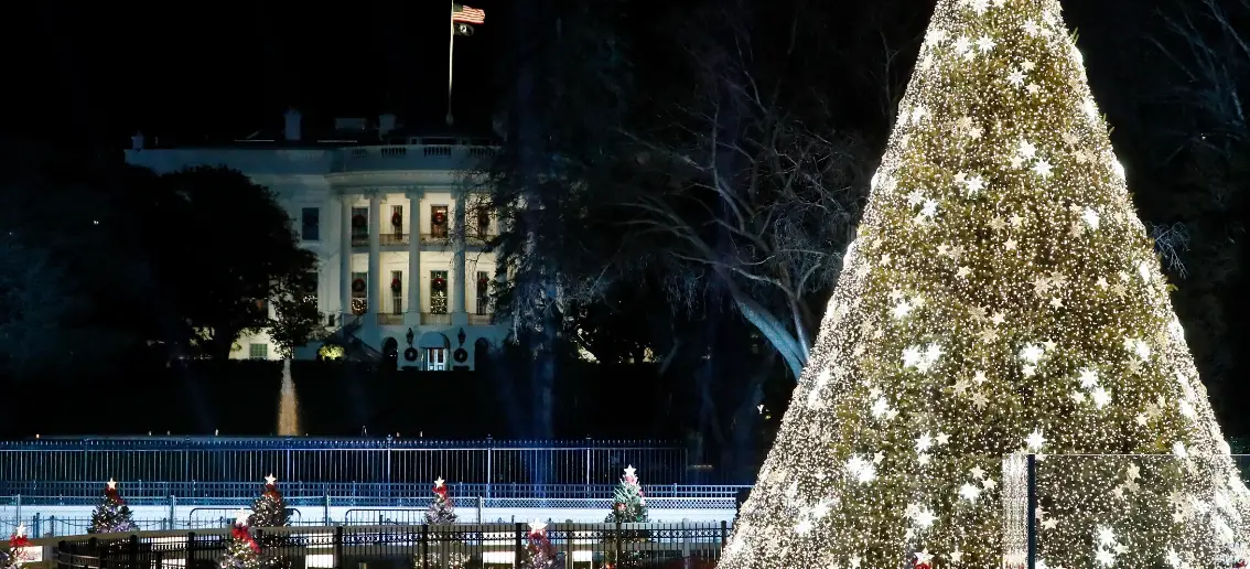 Ge Holiday 21121lo Led 3000 Lights Instruction Manual