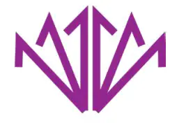 Feedback Modes button Icon