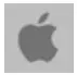 Apple Icon