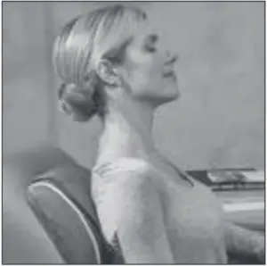 Homedics SP-5J-THP Shiatsu Plus Fig 3