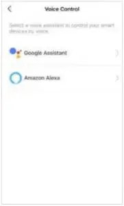 Control Your Device via Voice Interface