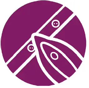 PHILIPS DST3040-79 3000 Series Steam Iron-FIG3