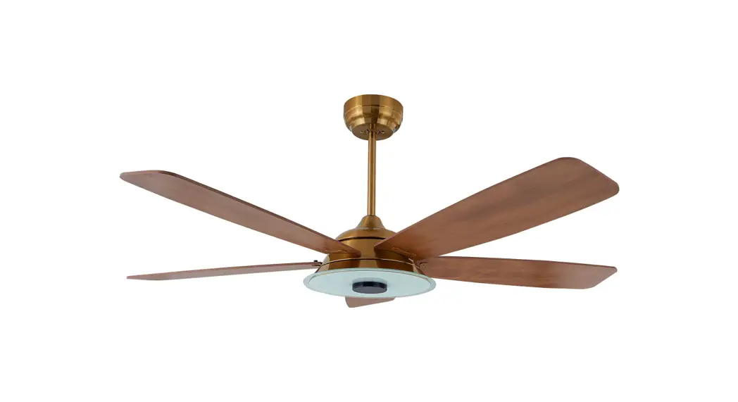 Carro Ces565sl Elira 56 Inch 5 Blade Smart Ceiling Fan With Led Light Kit And Remote Installation Guide