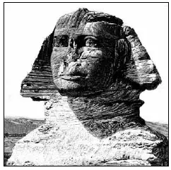 RONCO Food Dehydrator 1