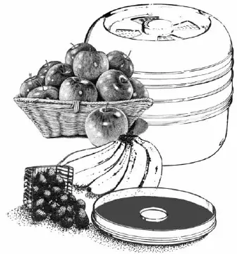 RONCO Food Dehydrator 11