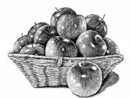 RONCO Food Dehydrator 7