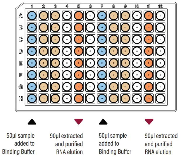 GALENVS magneti PCR Clean Up Kit-fig2