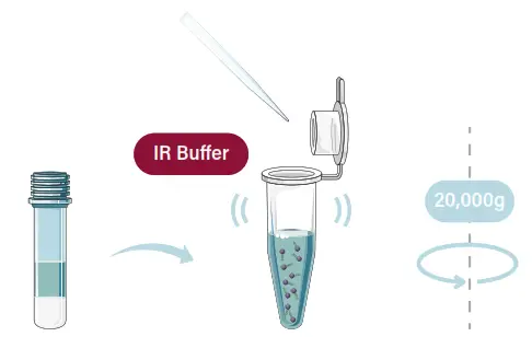 GALENVS SD0050-12 Soil DNA Extraction Kit - FIG1
