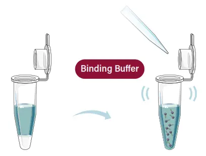 GALENVS SD0050-12 Soil DNA Extraction Kit - FIG2