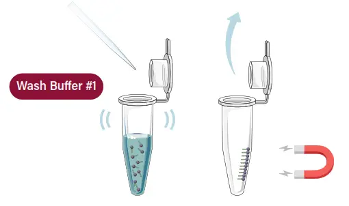 GALENVS SD0050-12 Soil DNA Extraction Kit - FIG4