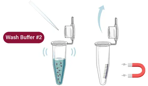 GALENVS SD0050-12 Soil DNA Extraction Kit - FIG5