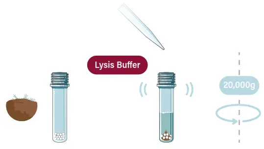 GALENVS SD0050-12 Soil DNA Extraction Kit