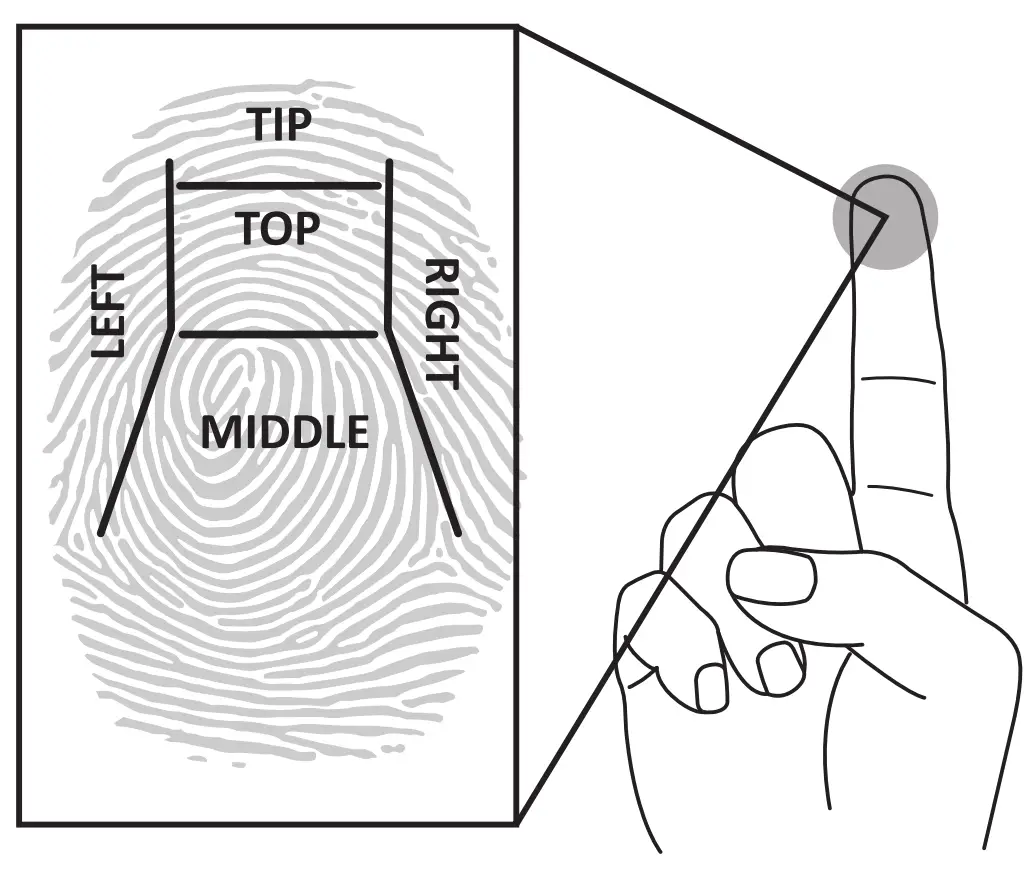 Programming Additional Fingerprints