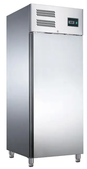 saro EGN 650 BT Commercial Freezer